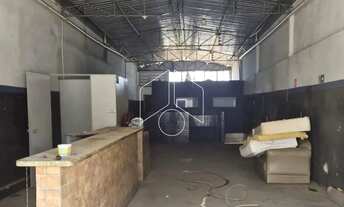 Imagem 4: Comercial GalpãoBarracão em Marília