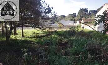 Imagem 3: TERRENO 507,00M2 EM PIRAQUARA !!!