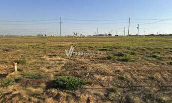 Imagem 3: Terreno Paulinia a venda em oportunidade Terras da Fazenda