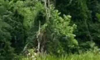 Imagem 2: Terrenos para chacara, Ibiúna - SP