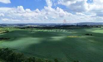 Imagem 6: Terreno à venda em Lapa, Boqueirão, 24000m²