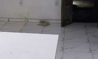 Imagem 4: Avenida com 5 casas, sendo 2 já prontas e 3 em andamento