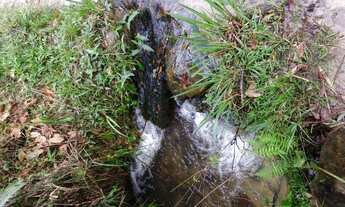 Imagem 6: Chácaras Agroecológicas