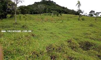 Imagem 3: Área Rural para Venda em Tamarana, Zona Rural