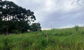 Imagem 5: Excelente Chácara Sem Benfeitorias