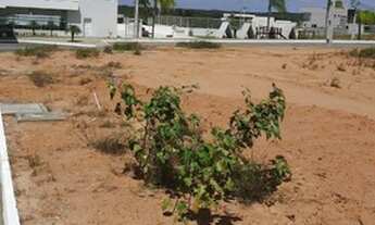 Imagem 3: Monte Carlos Terreno / lote com venda por R$230.000