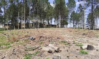 Imagem 6: Terreno dentro da cidade- CONTRATO DE COMPRA E VENDA