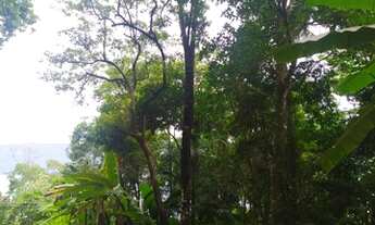 Imagem 4: Lote/Terreno para venda com 838 metros quadrados em Feiticeira - Ilhabela - SP