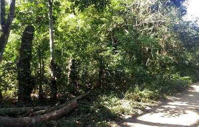 Imagem 5: Terreno 10.000m2 em Nova Iguaçu Tíngua - Sitio a Venda