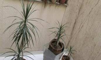 Imagem 2: CASA RESIDENCIAL em SÃO PAULO - SP, JARDIM NOSSA SENHORA DO CARMO