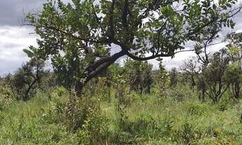 Imagem 7: Vendo na Pedra Fundamental