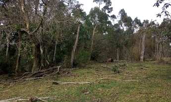 Imagem 5: Terreno 40 mil metros com lago e luz