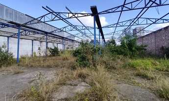 Imagem 6: Area para industria e galp?es terreno plano