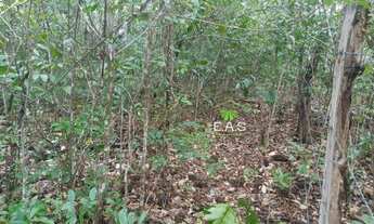 Imagem 6: Fazenda em Cristalandia. 40 mil por alqueire