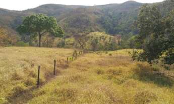 Imagem 6: FAZENDA EM MINAÇU-GO