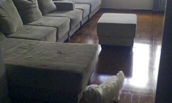 Imagem: Apartamento para Venda em Ribeirão Preto