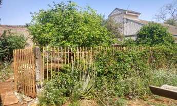 Imagem 6: Maringá - Terreno Padrão - Vila Morangueira