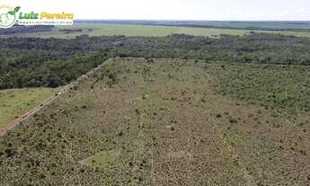 Imagem 4: FAZENDA À VENDA EM SANTA RITA - TO - 2.420 HECTARES (DUPLA APTIDÃO