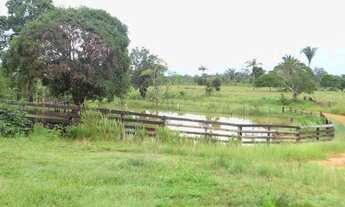 Imagem 2: Sitio Com 86 Hectares 50 x 2000, 40 Hectares Aberto