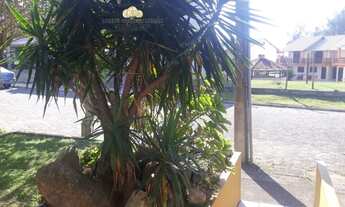 Imagem 3: Sobrado em Condomínio para Aluguel em Morrinhos Garopaba-SC - 174