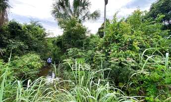 Imagem 4: Fazenda em Cristalandia. 40 mil por alqueire