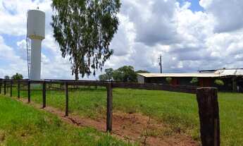 Imagem 6: Fazenda 127 Alqueires 2,700.00 Milhão