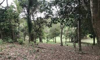 Imagem 4: Oportunidade !! Baixou o Preço<br>Terreno 3.120m². Financiamento Caixa Legalizado RG