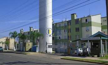 Imagem 4: SãO LEOPOLDO - Padrão - Pinheiro