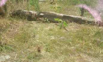 Imagem 2: Vendo chácara Chácara com venda por R$28.000