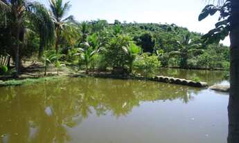 Imagem 7: Leia o Anúncio- imagem ilustrativa