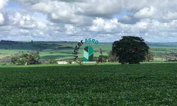 Imagem 5: Fazenda em Jataí