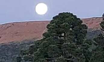 Imagem 5: Cabana urubici Casa com 1 dormitório