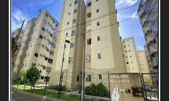 Imagem: SAO LOURENCO DA MATA - Apartamento Padrão