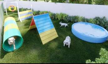 Imagem 5: Aluguel de Ap. Pinheiros do Sul 2