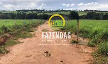 Imagem 7: Chácara a venda na Região do Barreiro próximo ao Rio Paranaíba região de Araguari MG