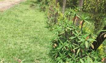 Imagem 3: Chácara - Porangaba - SP