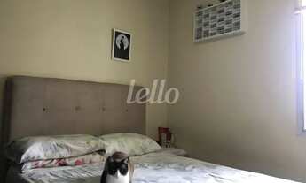 Imagem 6: São Paulo - Apartamento Padrão - Cambuci