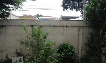 Imagem 7: Apartamento para Aluguel - Jardim Éster Yolanda, 3 Quartos, 57 m2