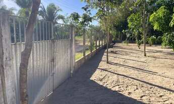 Imagem 4: Vendo Sítio Chácara com venda por R$250.000