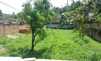 Imagem 4: Vendo Casa com Terreno muito Grande Barato