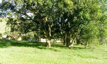 Imagem 6: Fazenda/Sítio/Chácara para venda tem 700 metros quadrados com 3 quartos