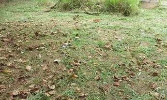 Imagem 3: ESTOU VENDENDO CASA