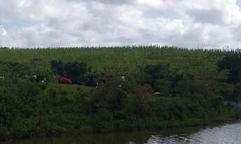 Imagem: Fazenda/Sítio