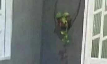 Imagem: Casa a venda na itinga próximo a UPA