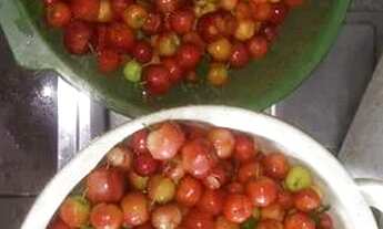 Imagem 4: Vendo Mini chácara 3 mil metros no Vale das Andorinhas, Novo Gama-GO