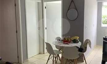 Imagem: Bauru - Apartamento Padrão - Quinta da