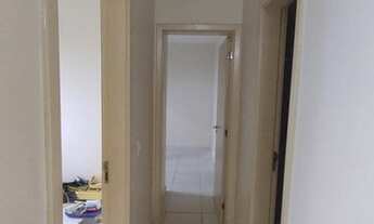 Imagem 3: Cond. Chácara Montenegro - Cedro - Rod. Augusto Montenegro - Parque Verde