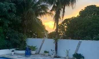 Imagem 3: Sítio em Santa Fé do Sul