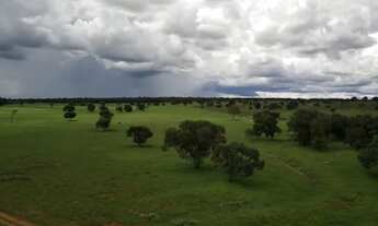 Imagem 6: Fazenda para Venda em Centro Inocência-MS - 3135