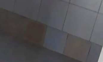 Imagem 3: Aluga-se casa em ponte dos Carvalhos